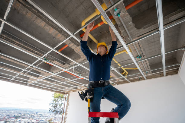 Best Local Plumber Services  in Hodgkins, IL