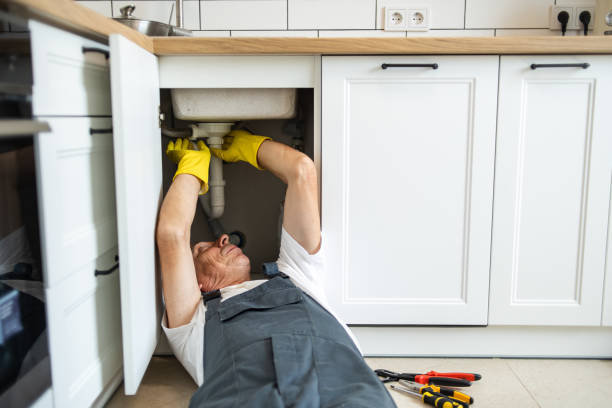 Best Plumbing Inspection Services  in Hodgkins, IL