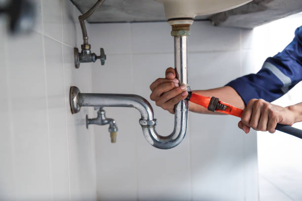 Best Plumbing Repair Near Me  in Hodgkins, IL