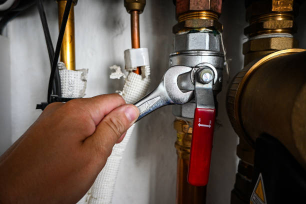 Best Septic Systems  in Hodgkins, IL